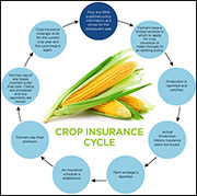 crop insurance graph